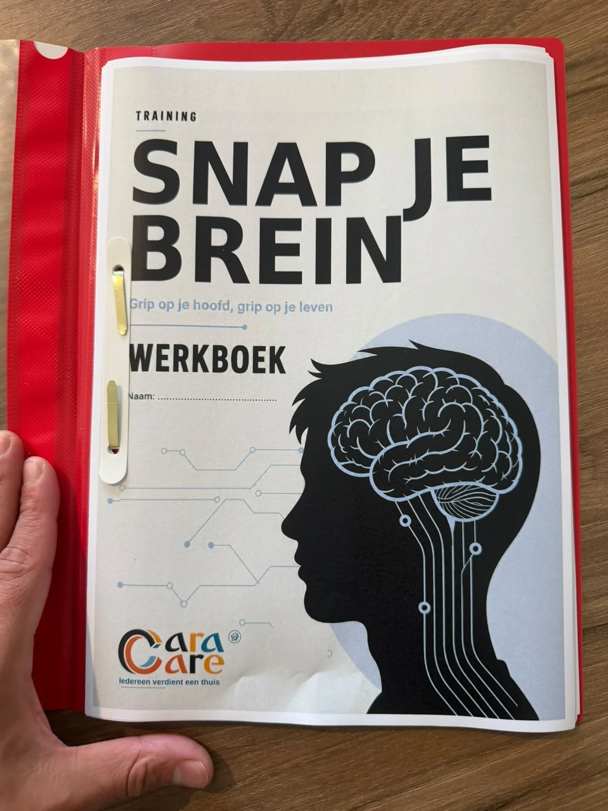 Het werkboek van de training Snap je brein van Cara Care